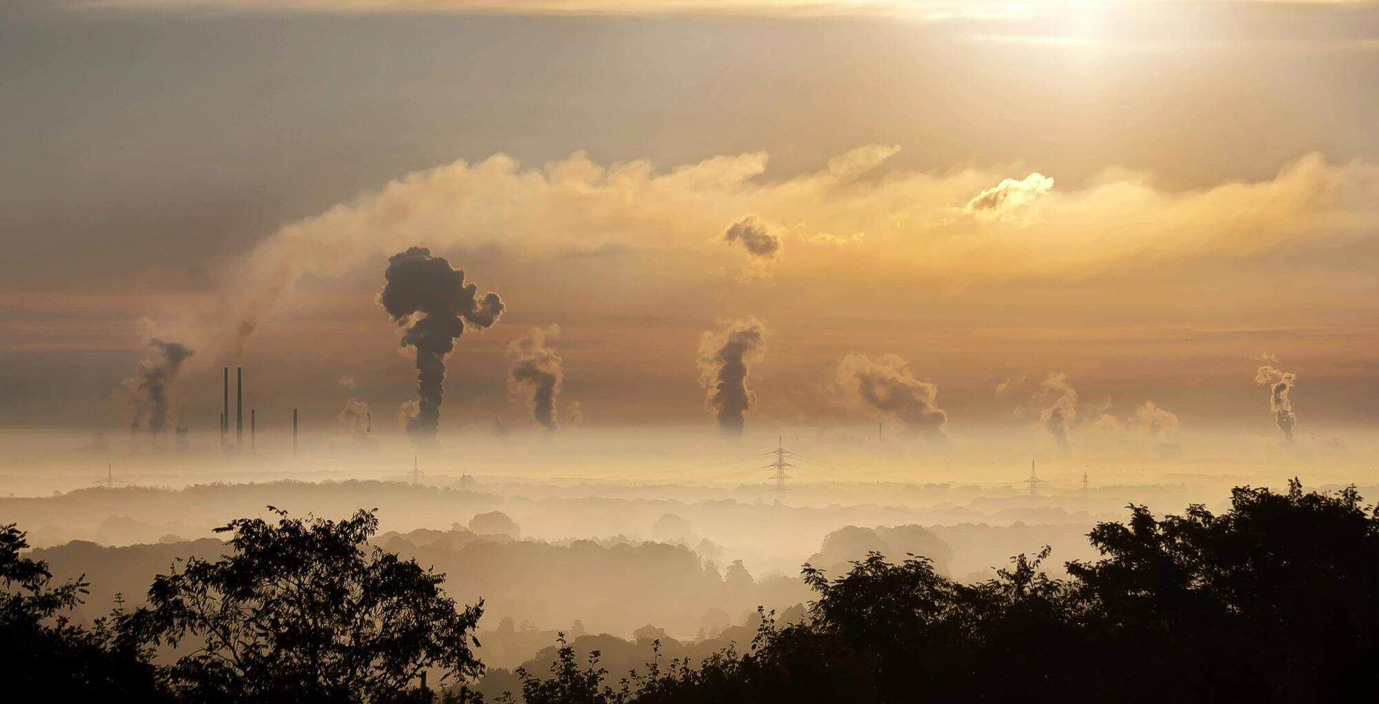 The opposite of carbon sources, carbon sinks absorb more carbon than they release
