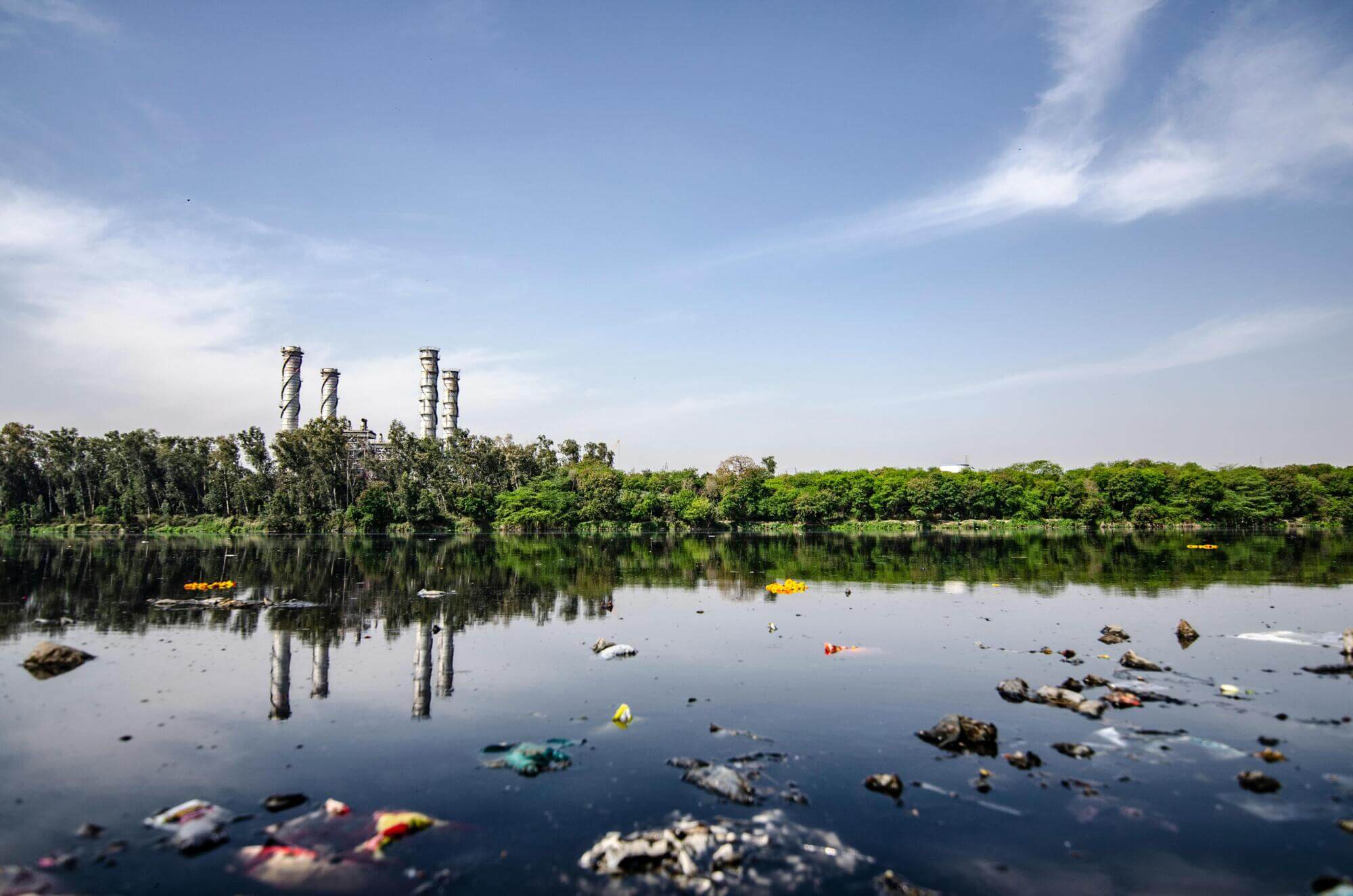 It’s estimated that by the year 2050, there will be more plastic in the ocean than fish